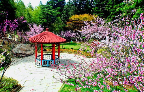 廬山室外景點(diǎn)恢復(fù)開放 南 北門或交通索道可進(jìn)山 還有這些注意事項