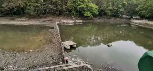 景區開展流徽湖 流杯渠 竹海湖等水系清淤治理工程