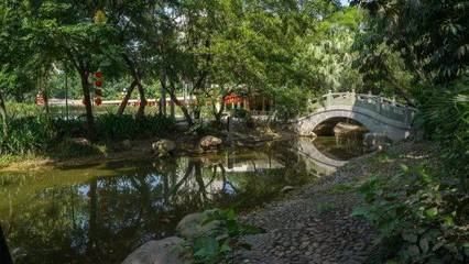 深圳最適合一日游的免費景點,各區都有!不要再說周末沒地方去啦.