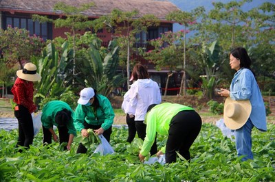 水稻國(guó)家公園旅游標(biāo)準(zhǔn)化專項(xiàng)工作簡(jiǎn)報(bào)第一期